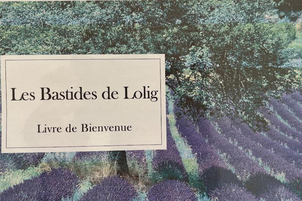 La Bastide De Lolig - Clim - Wifi Villa Сариан Екстериор снимка